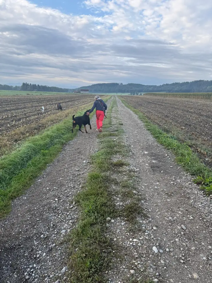 Katrin geht mit einem schwarzen Hund einen langen Feldweg entlang