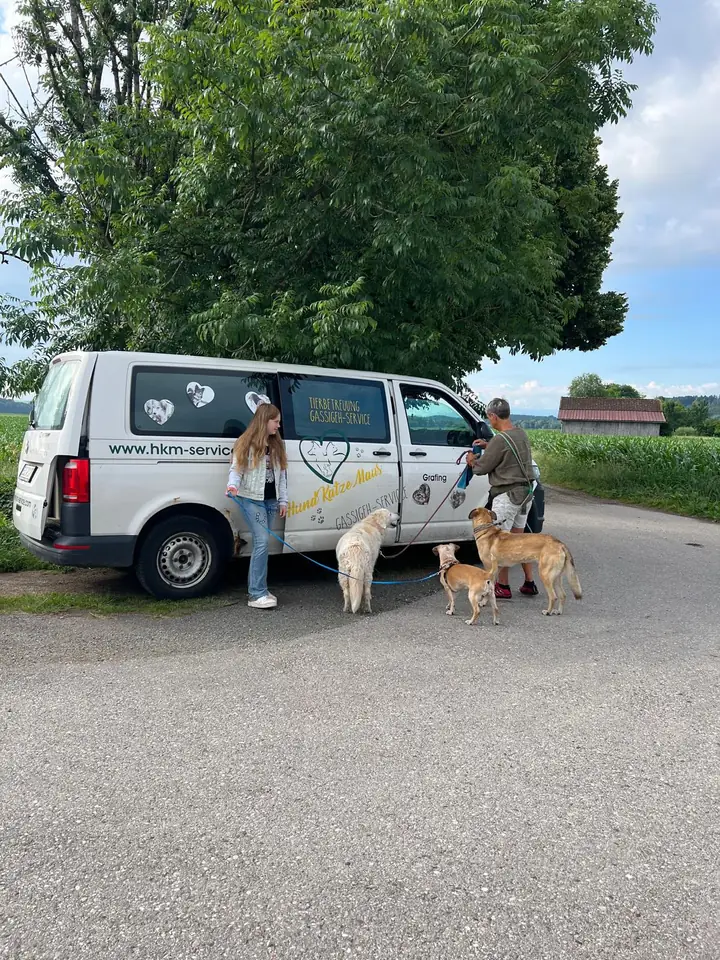 Der weiße Bus von Hund..Katze..Maus. mit Hunden an der Leine auf einem Feldweg