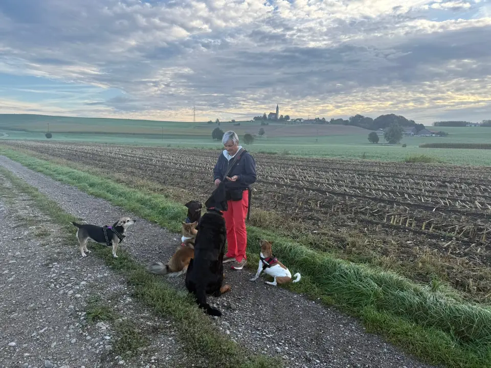 Katrin mit mehreren Hunden auf einem Feldweg bei Steinhöring